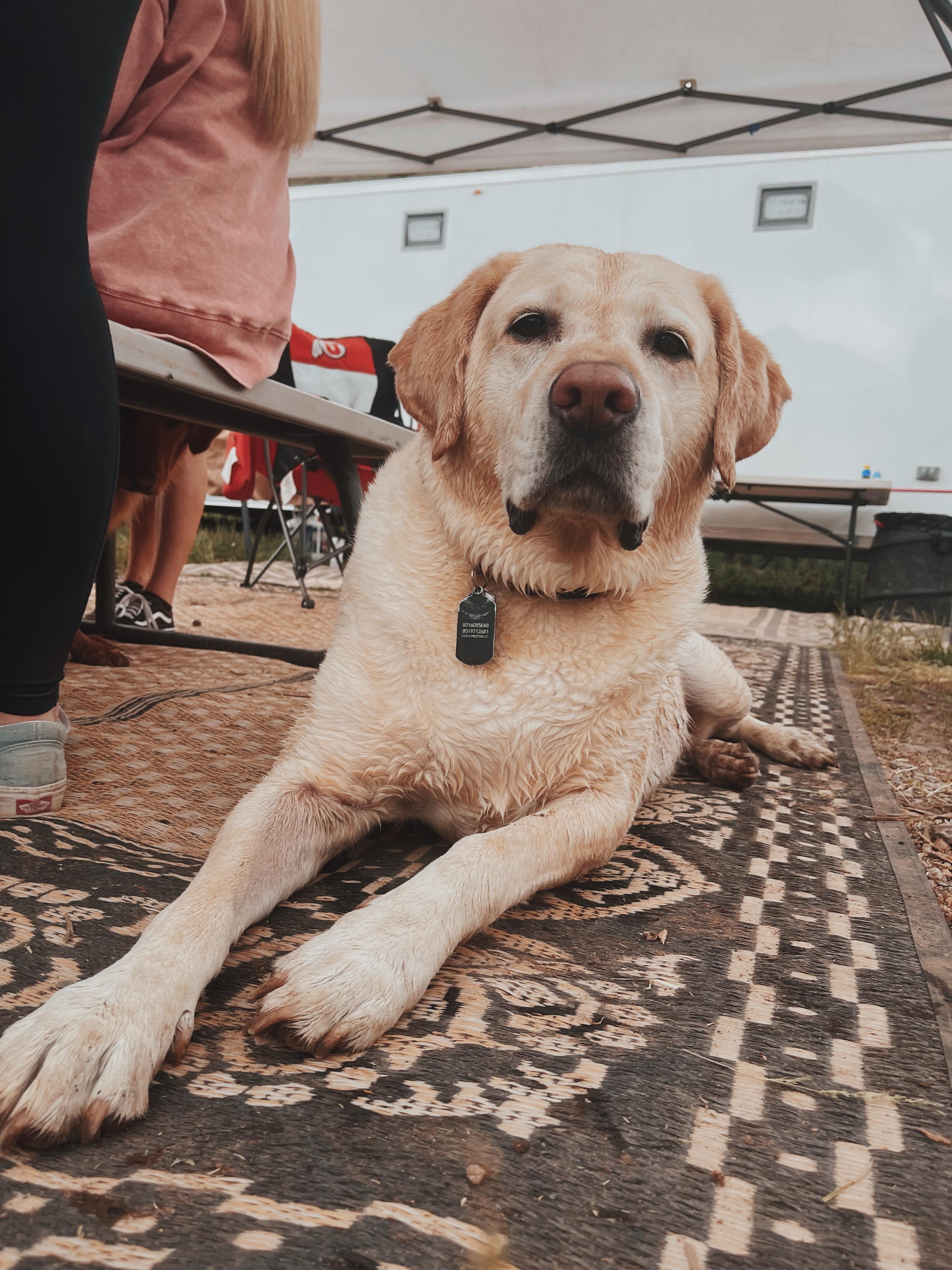 The Wedding Website of Katelyn Black and Alex Weaver