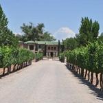 Casa Rondeña Winery