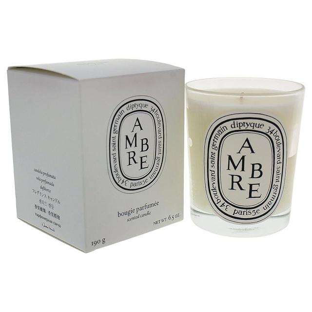 Diptyque Ambre Candle-6.5 oz, black (I0004921), Standard, spice