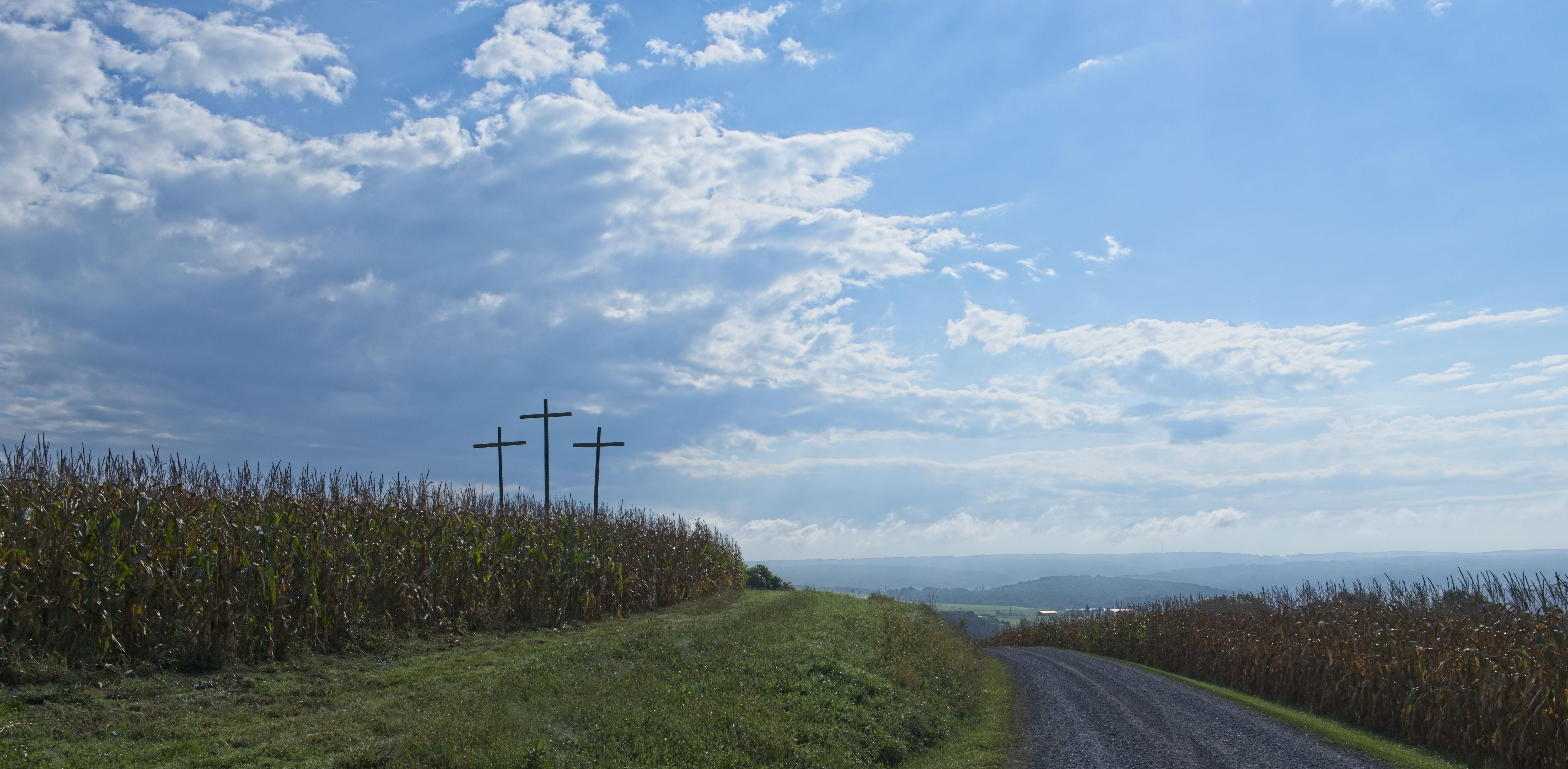 The Wedding Website of Josie Yahner and Max Dannhardt