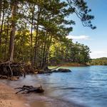 Red Top Mountain State Park