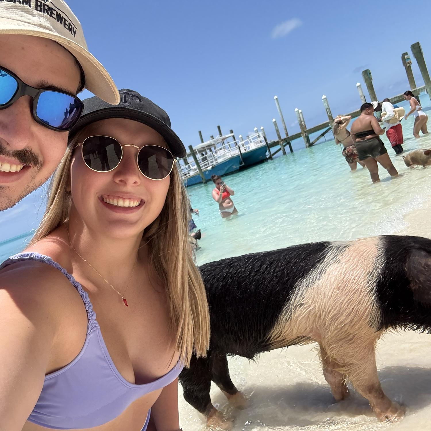 Swimming w/ the Pigs