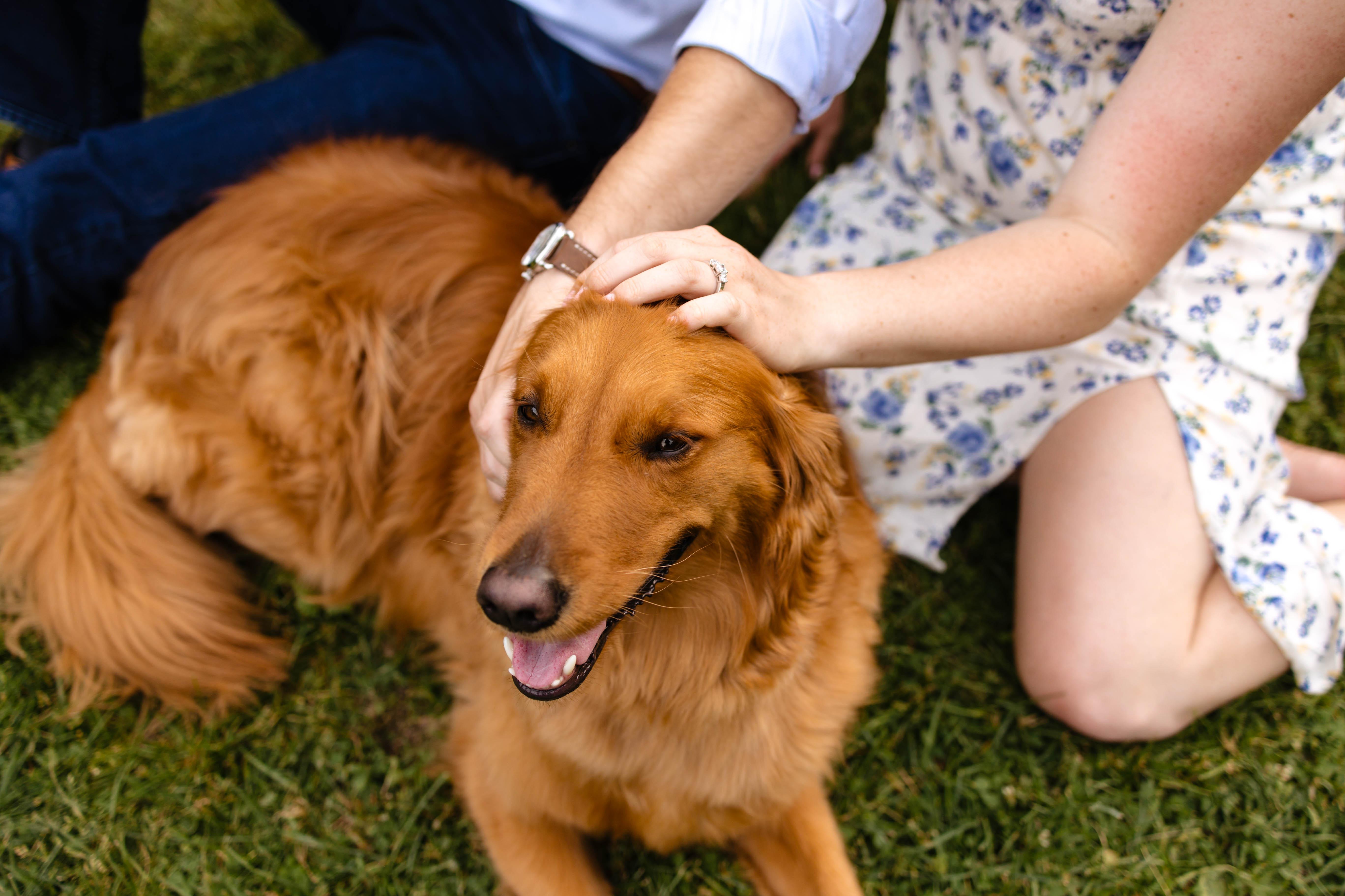 The Wedding Website of Tara Doane and Adam Henry