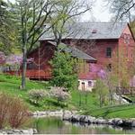 Walk around Belvidere Park