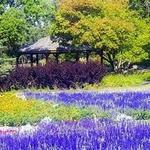 International Peace Garden - United States Parking