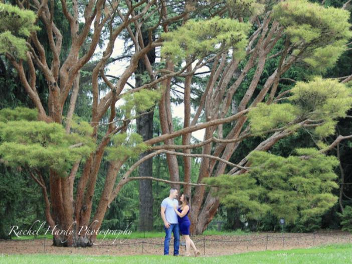 The Wedding Website of Katie Purvis and David Wheeler
