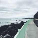 Tour | Newport Cliff Walk