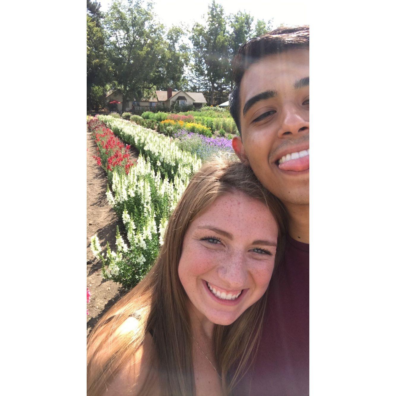 Pullman U-Pick Flower Patch