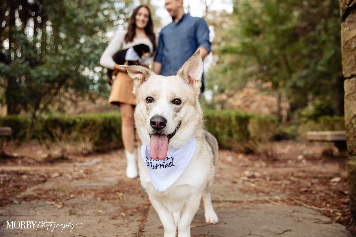 The Wedding Website of Stephanie Pennacchia and Mason Stephens