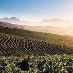 Explore Stellenbosch
