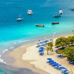 Tortuga Island Cruise