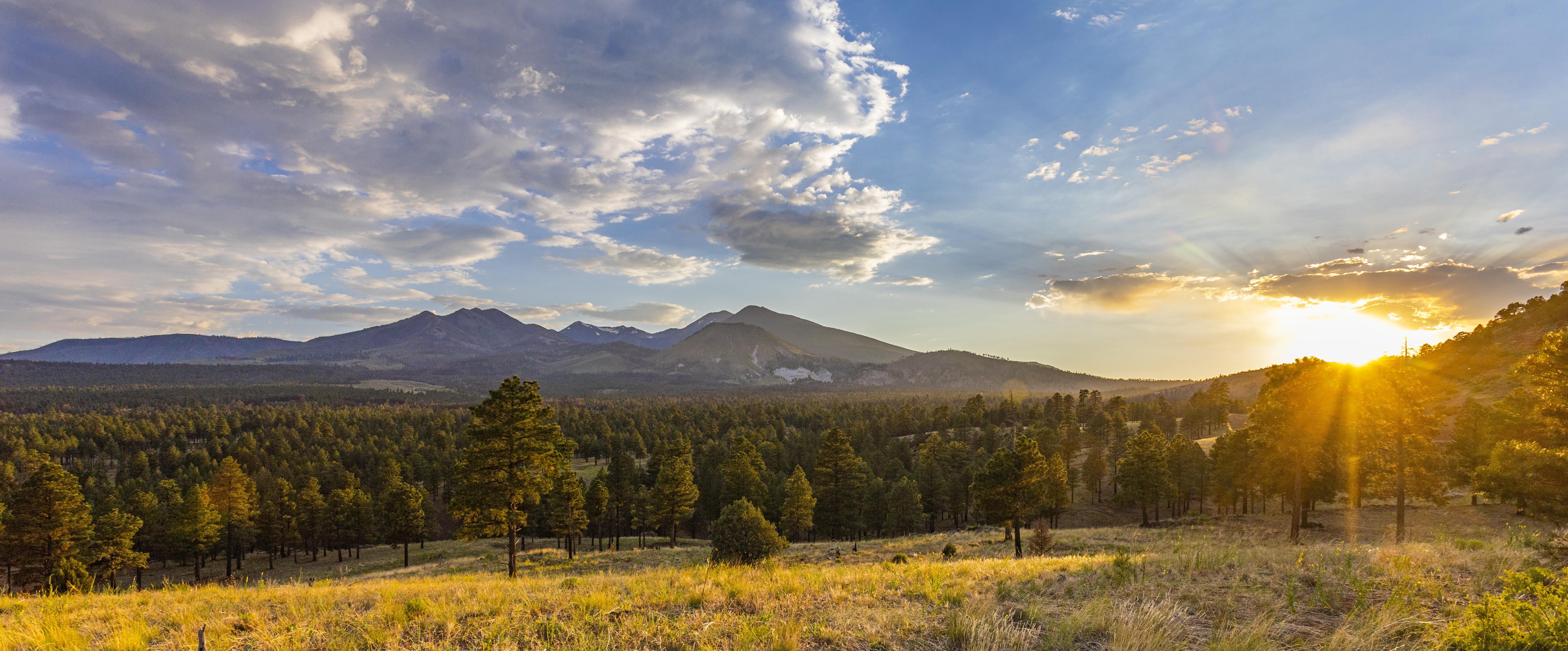 The Wedding Website of Ryan Wallace and Skylar Wapler