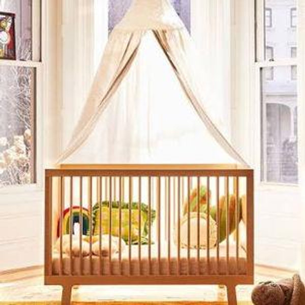 IVF Baby Fund
