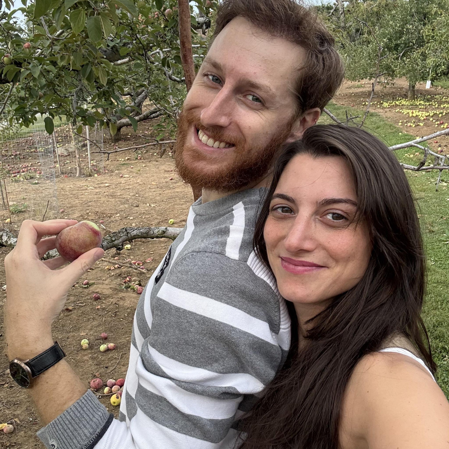 Apple picking