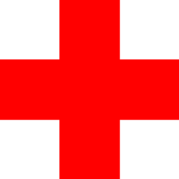 Red Cross First Aid/CPR Course