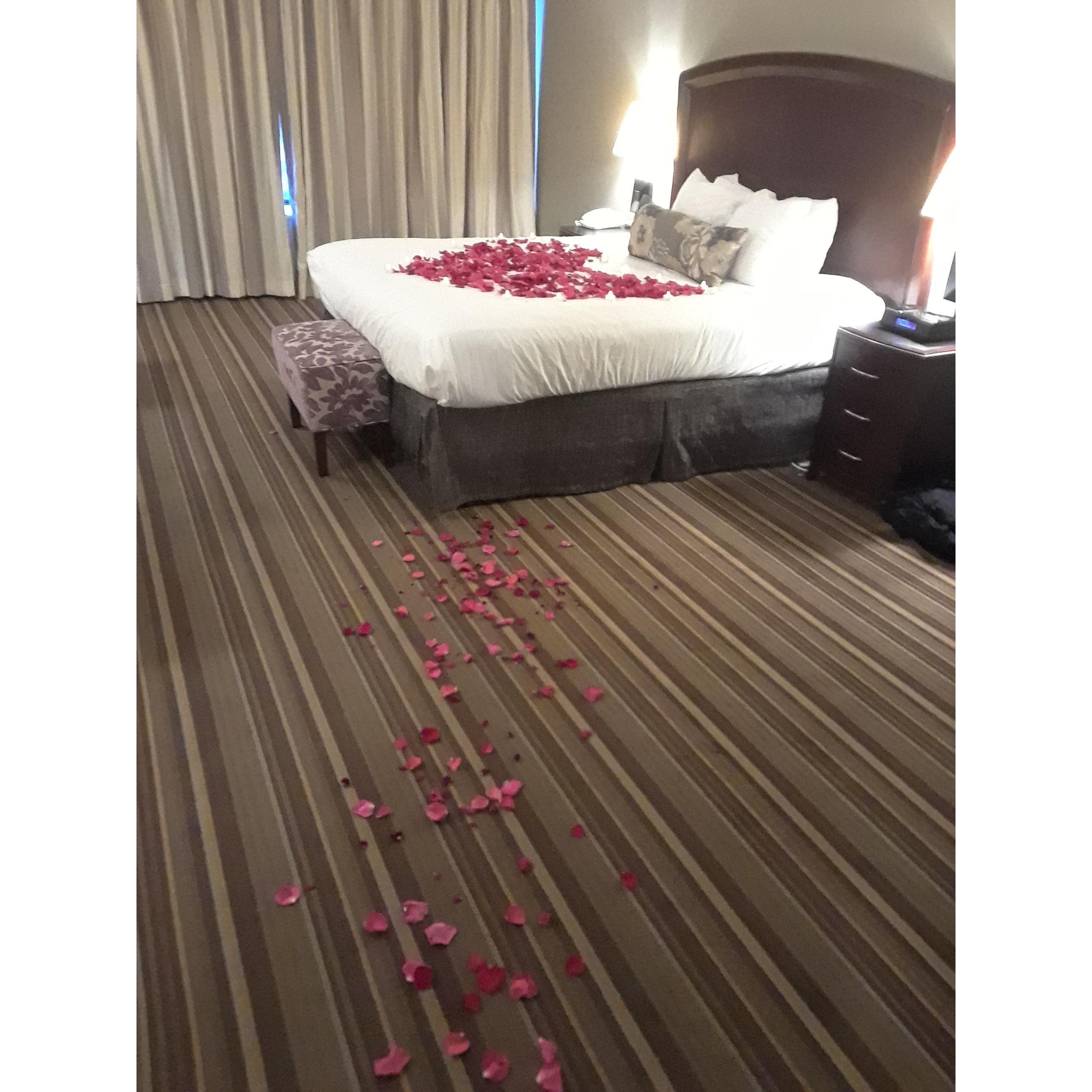 Our Proposal