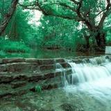 Lockhart State Park