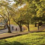 Druid Hill Park