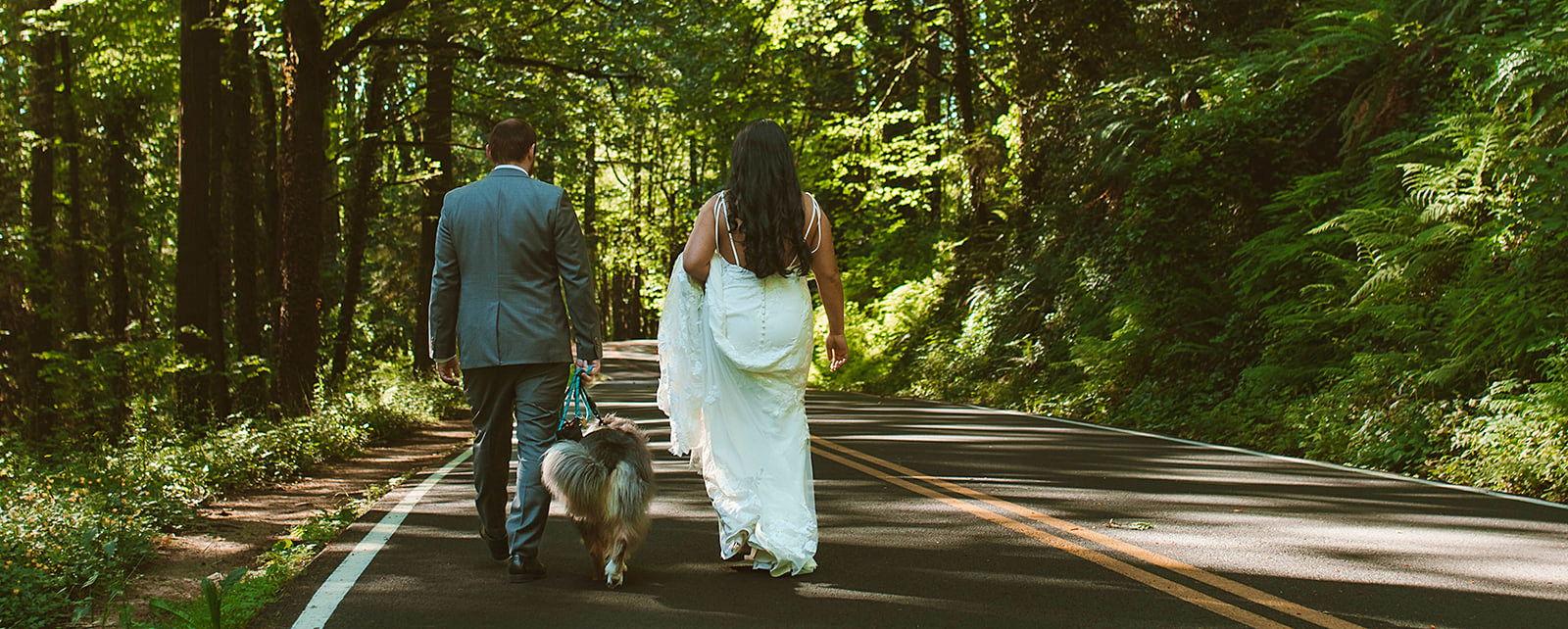 aacdc958-3fa5-4d29-b254-3127d9463c0e