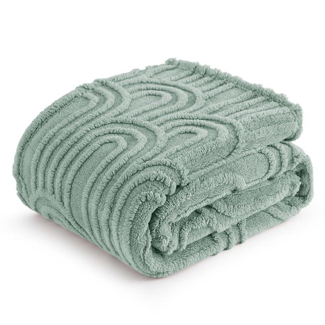 Bedsure Sage Green Throw Blanket for Couch - Super Soft Cozy Blankets for Women, Cute Small Blanket for Girls, 50x60 Inches