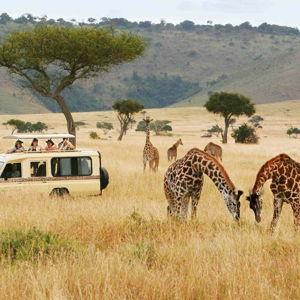 Our Honeymoon to Africa