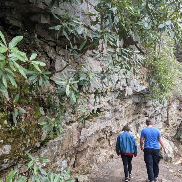 A sneaky photo of the couple hiking at Swallow Falls in Deep Creek, MD.