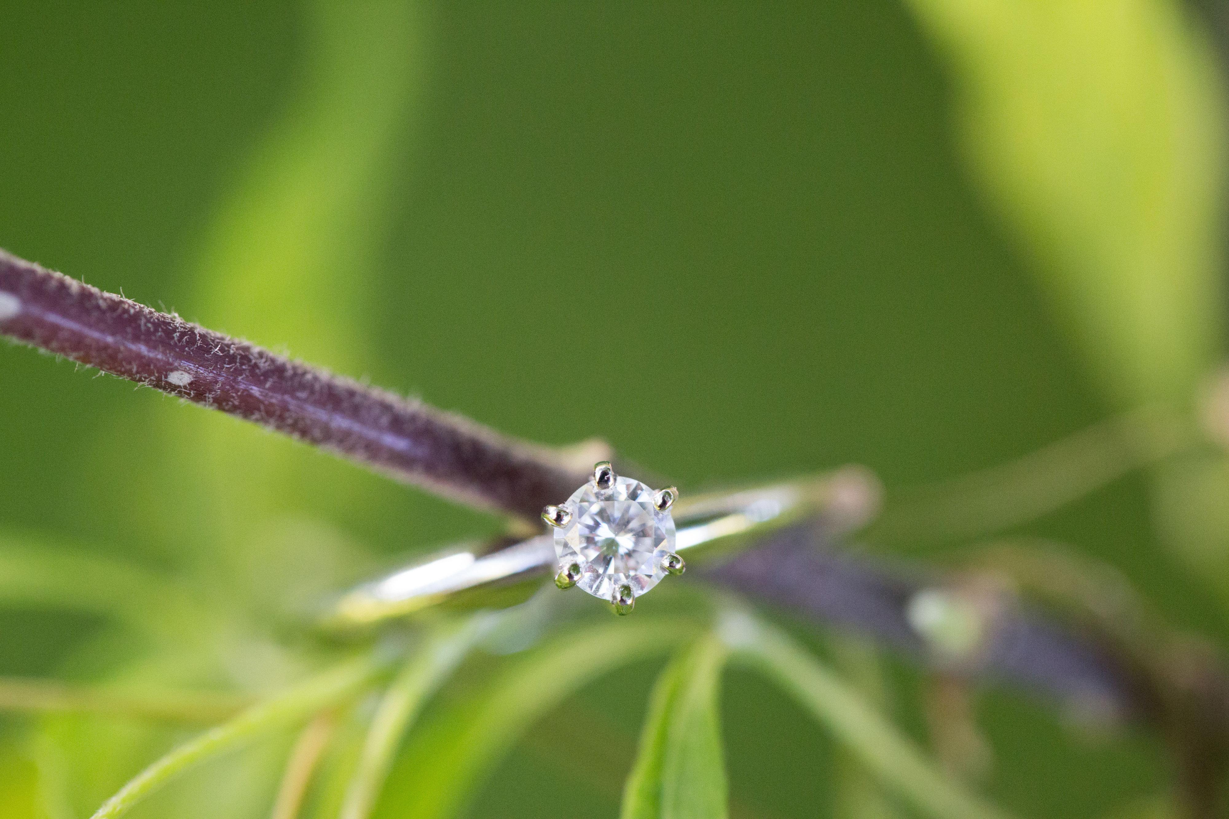 The Wedding Website of Sarah Speckman and Adam Holcomb