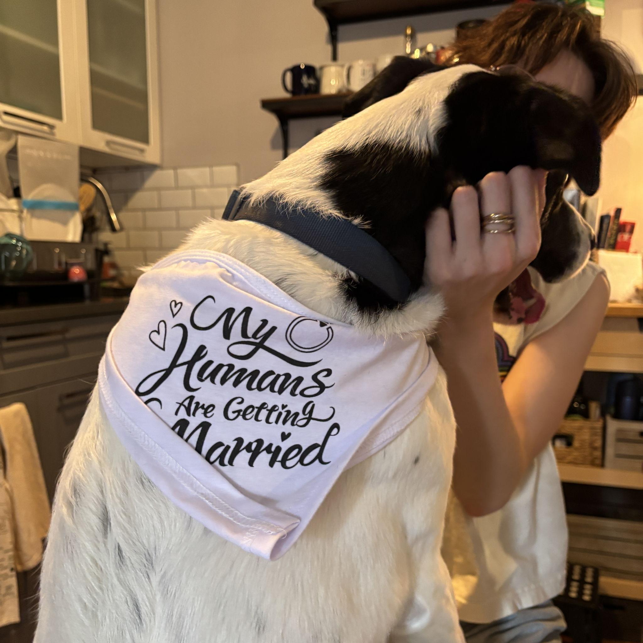 "My Humans are getting Married"