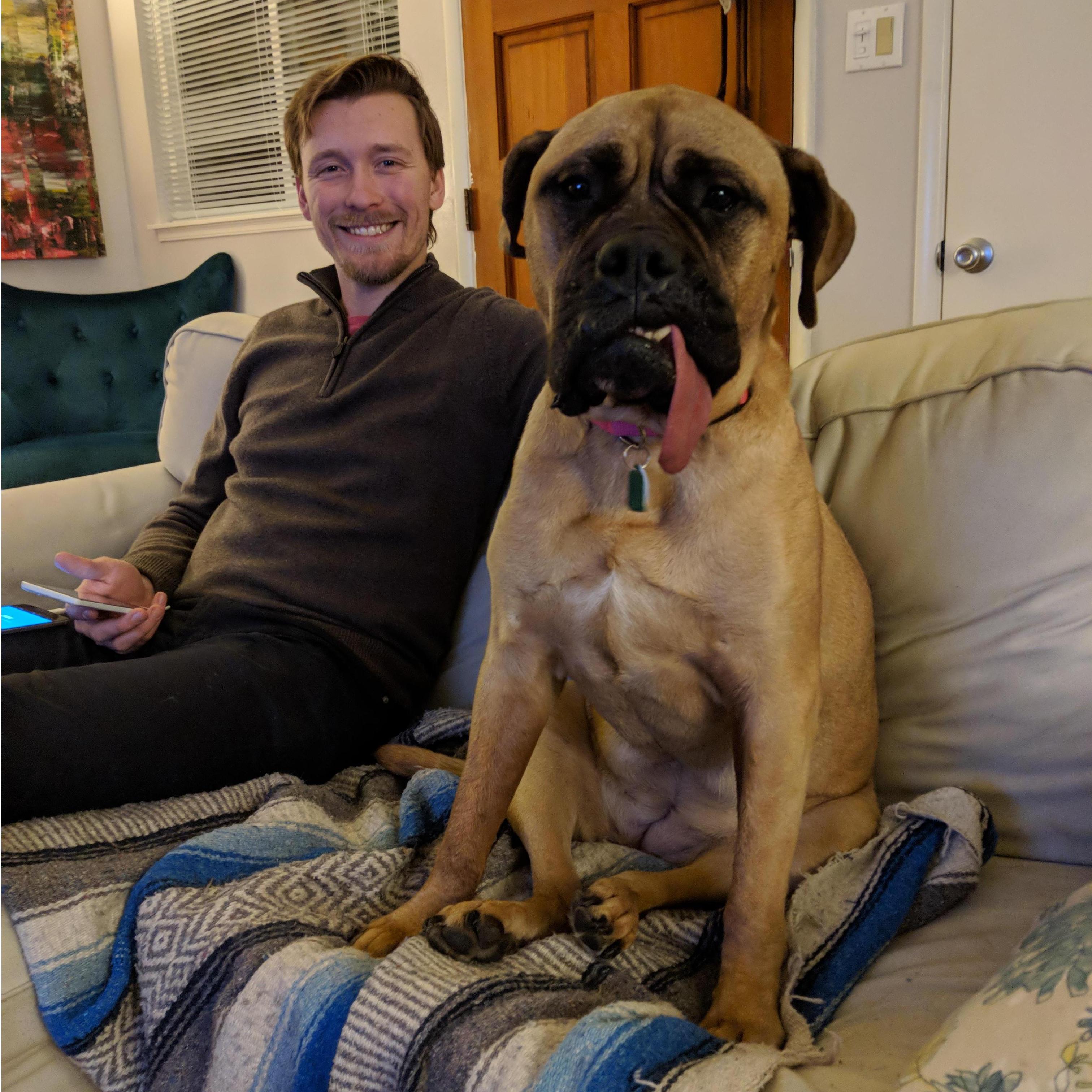 Moustache did not accept our no-dogs-on-the-couch rule, instead she just tried to disguise herself by sitting like a human