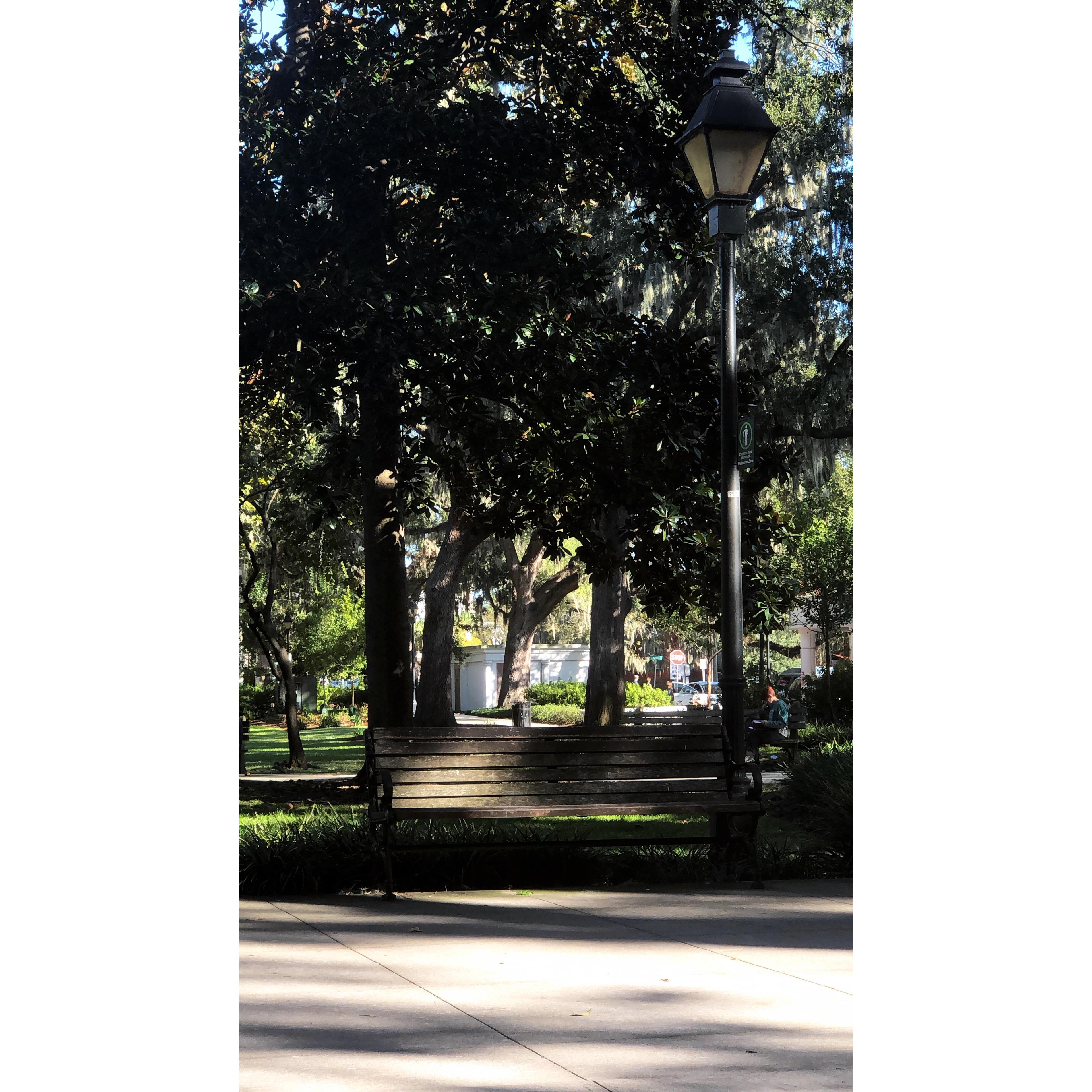 The spot we got engaged in Savannah, Georgia