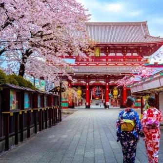 Tour of Tokyo for two