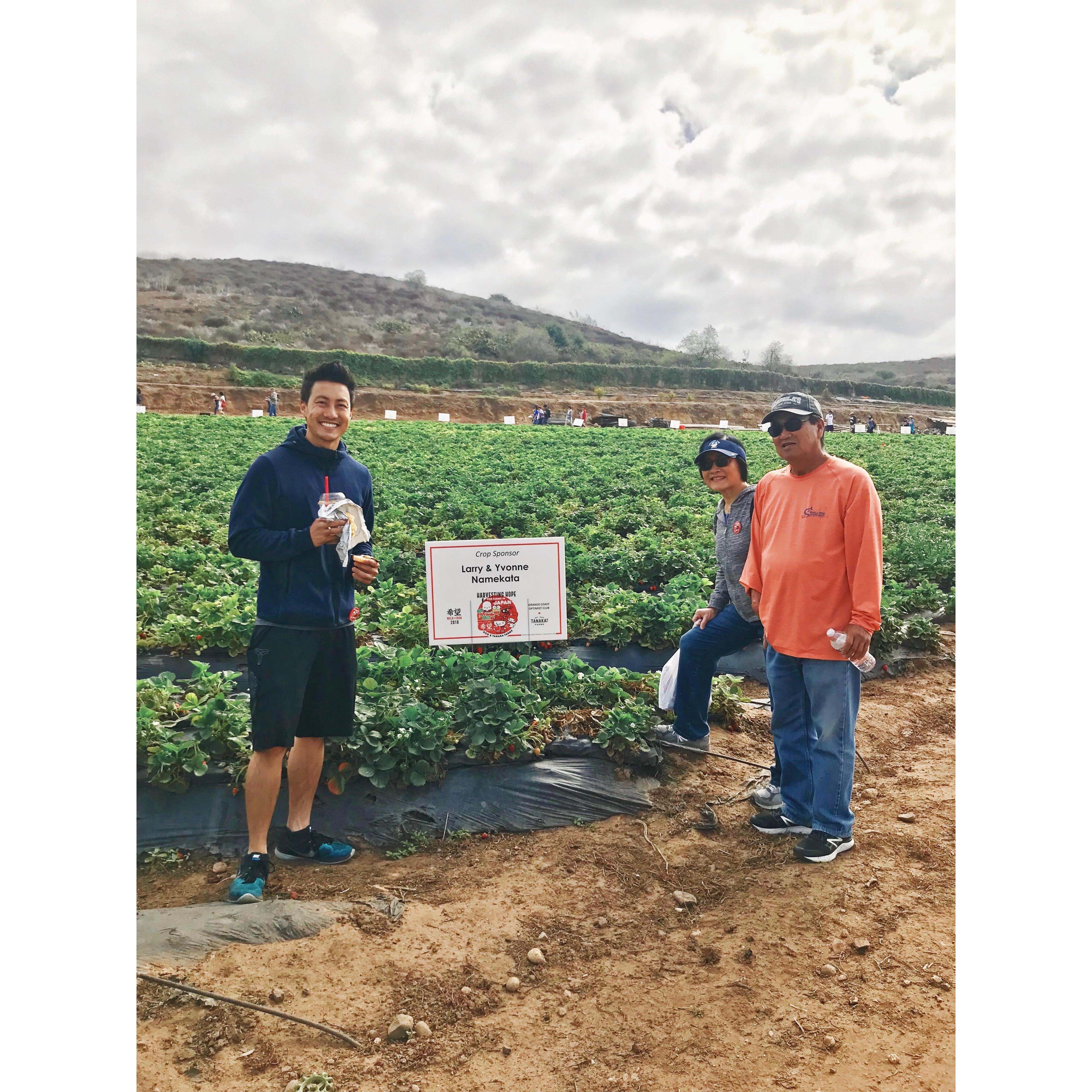 Tanaka Farms: June 2018