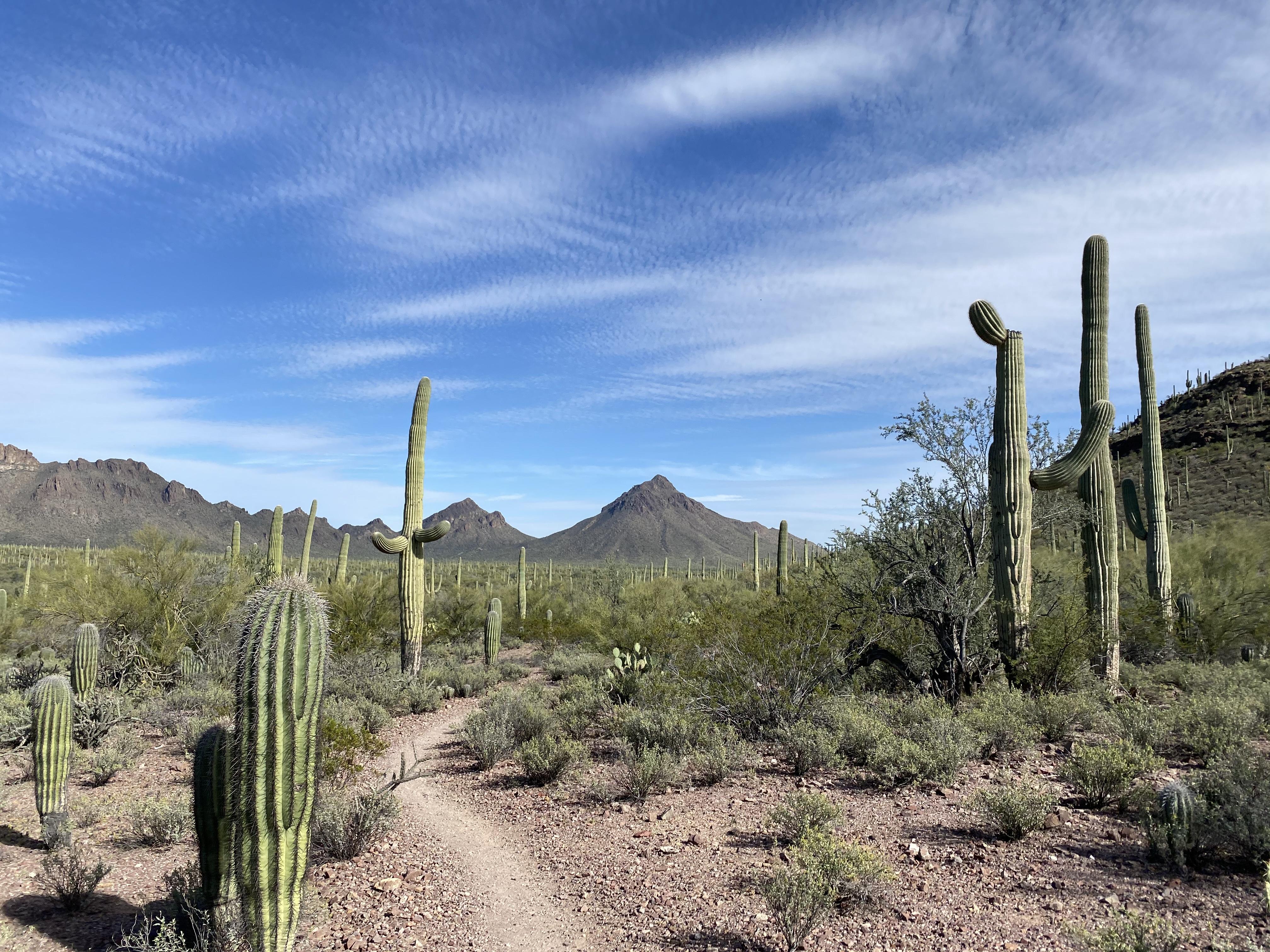 The Wedding Website of Andrea Lavin and Jordan Levy