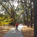 Bike Trails