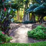 Marie Selby Botanical Gardens