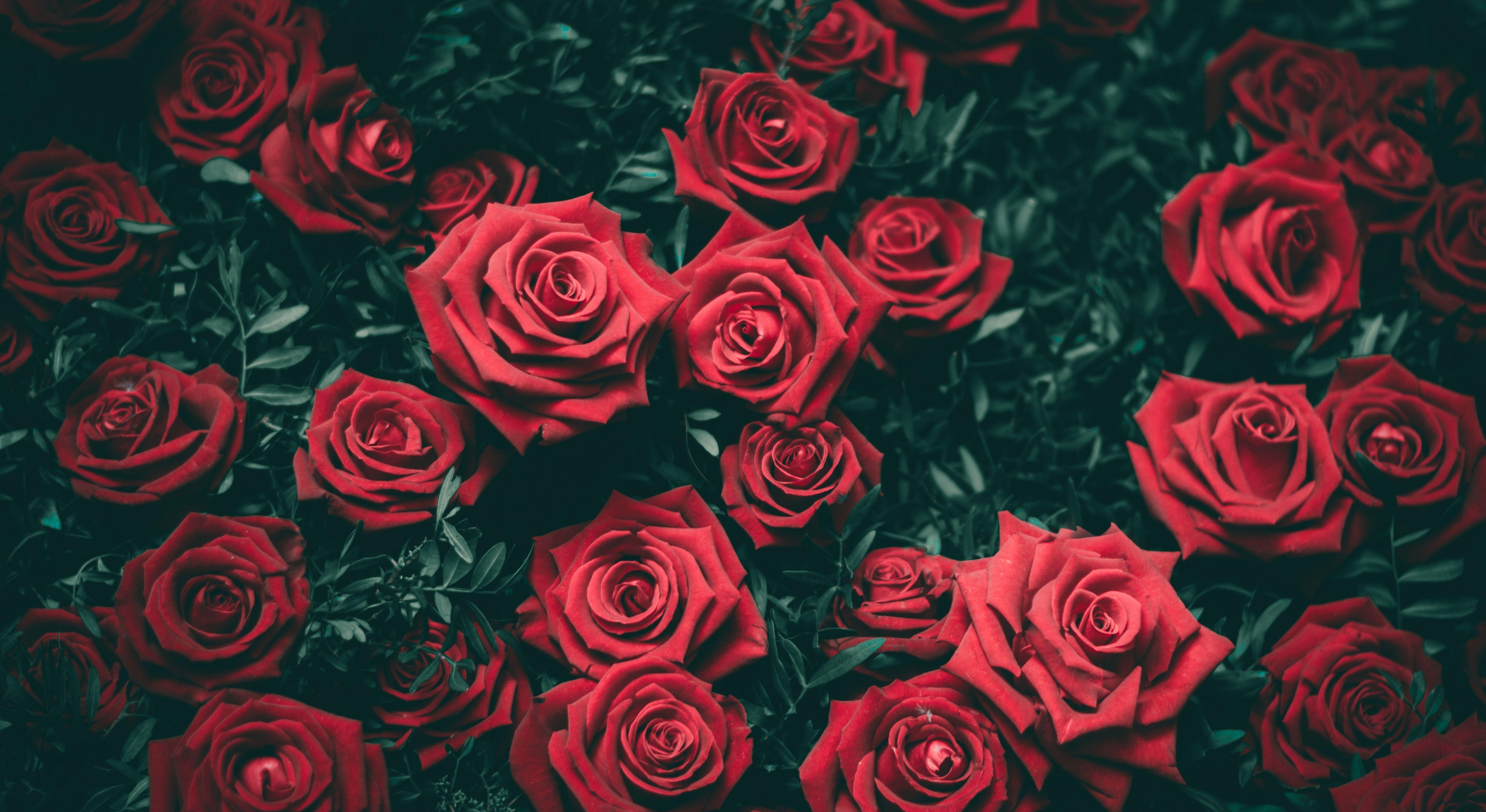 Footer image