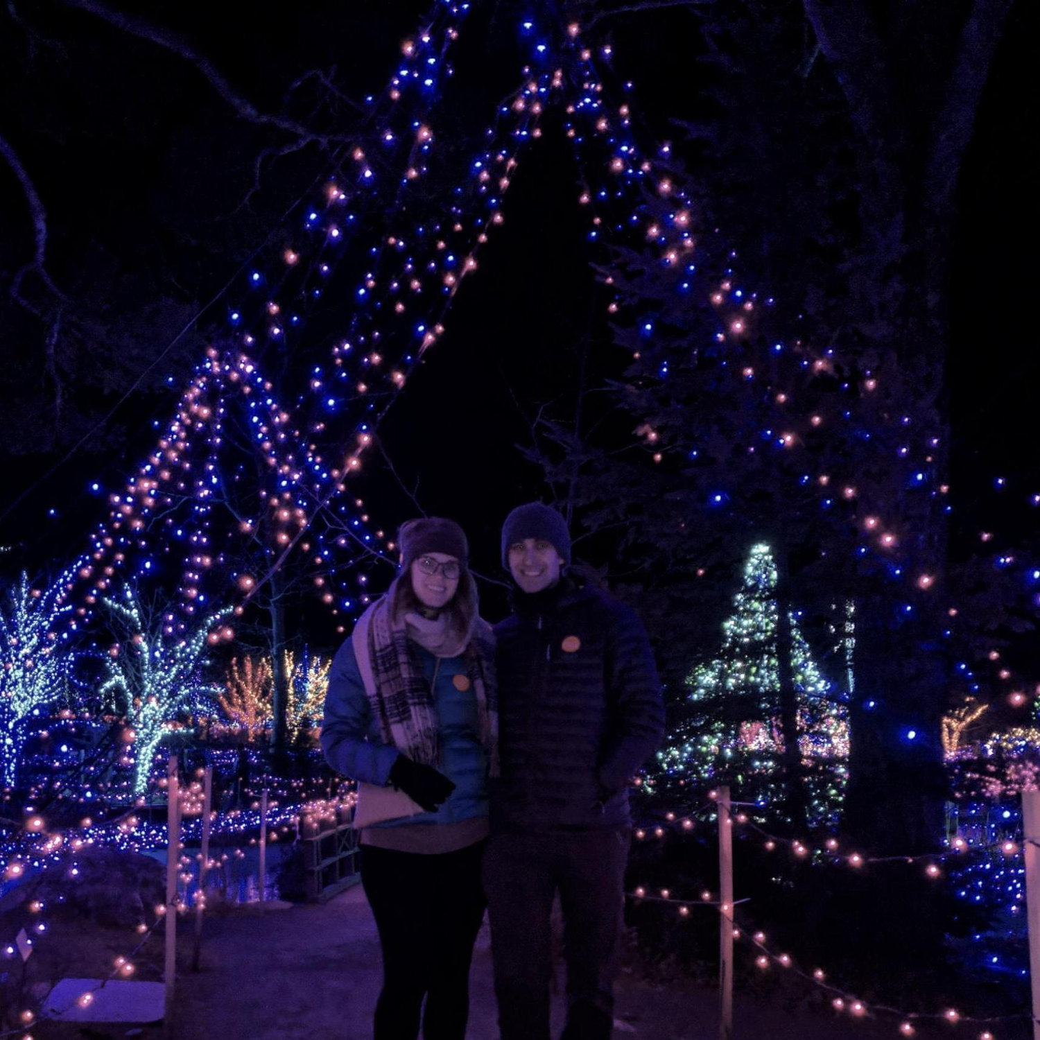 Gardens Aglow at the Boothbay Botanical Gardens