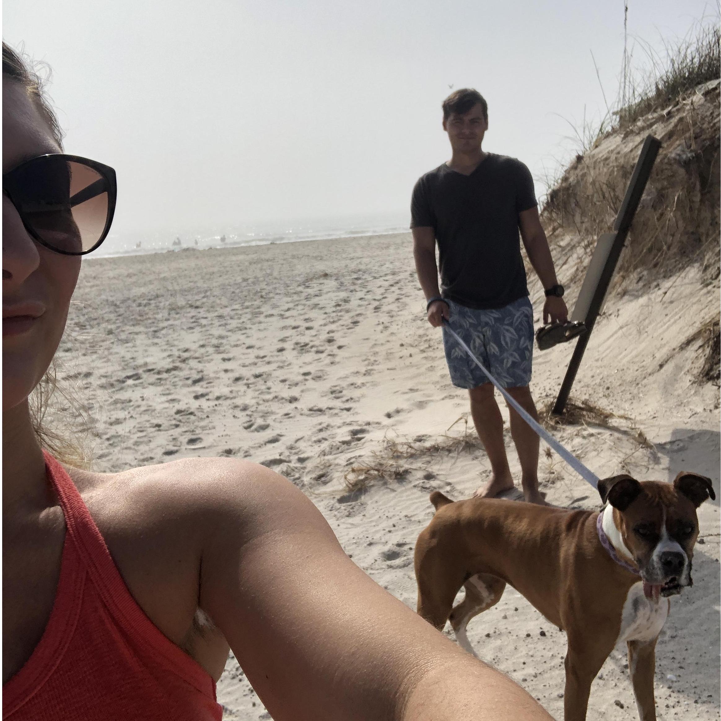 Long Walks on the Beach