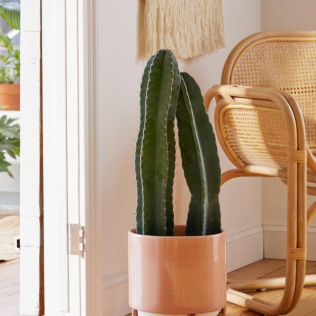Cecily 10” Planter + Stand