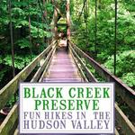 Black Creek Preserve