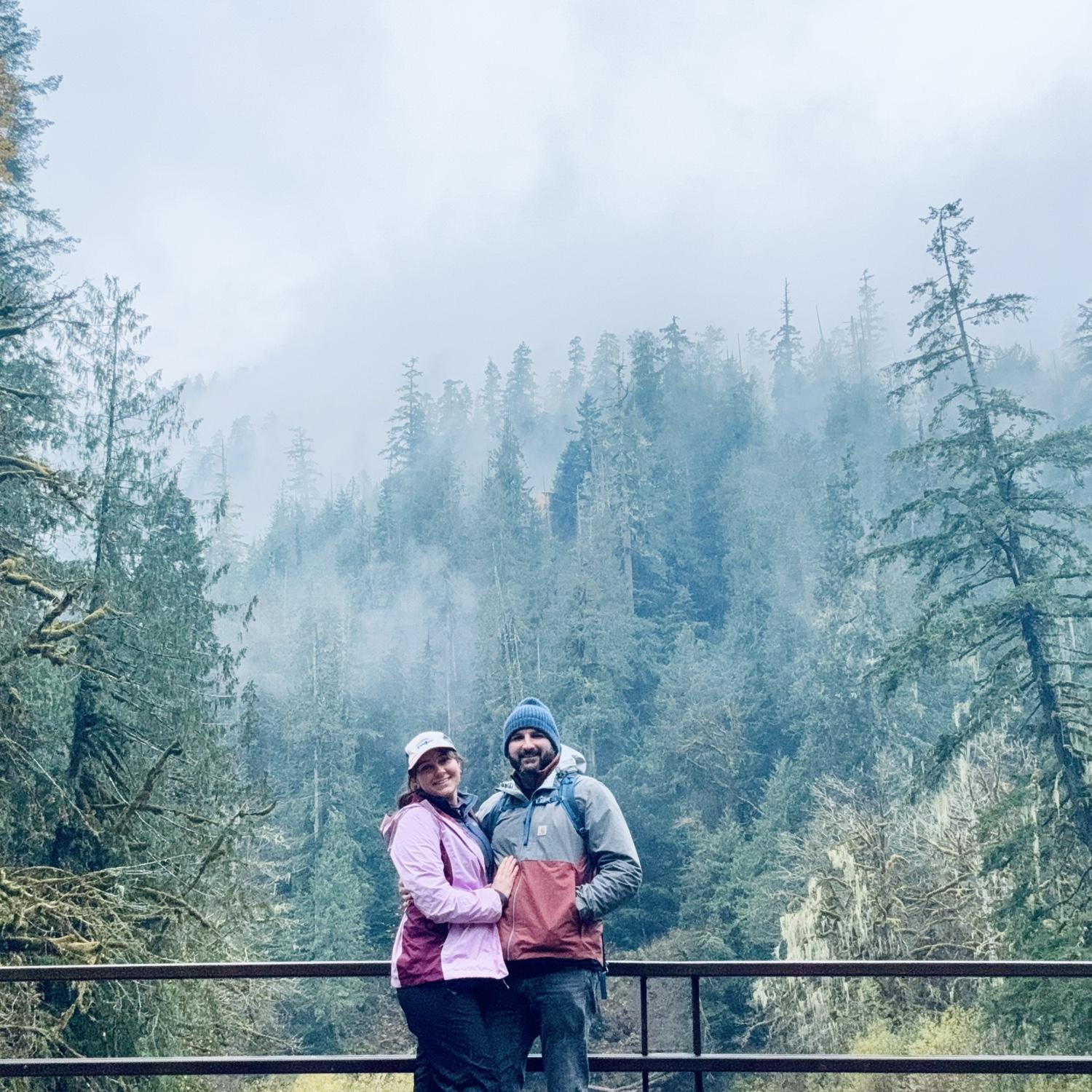 Olympic National Forest Fall 2024