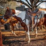 Serenbe Trailriding