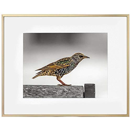 Golden State Art Picture Frame - Gold Aluminum (Shiny Brushed) - Fit Photo with Ivory Mat or Without Mat - Metal Frame Wall Mounting - Real Glass (16x20, Gold)