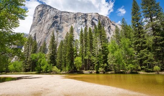 The Wedding Website of Jenelle Watkins and Jordan Sain