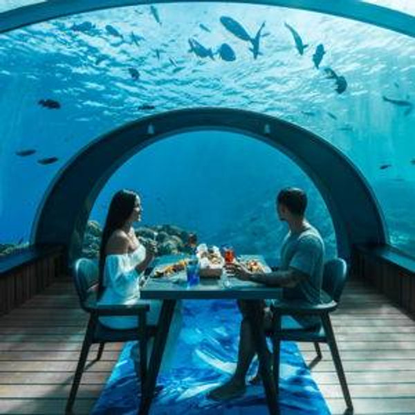 Underwater Restaurant Dinner for two