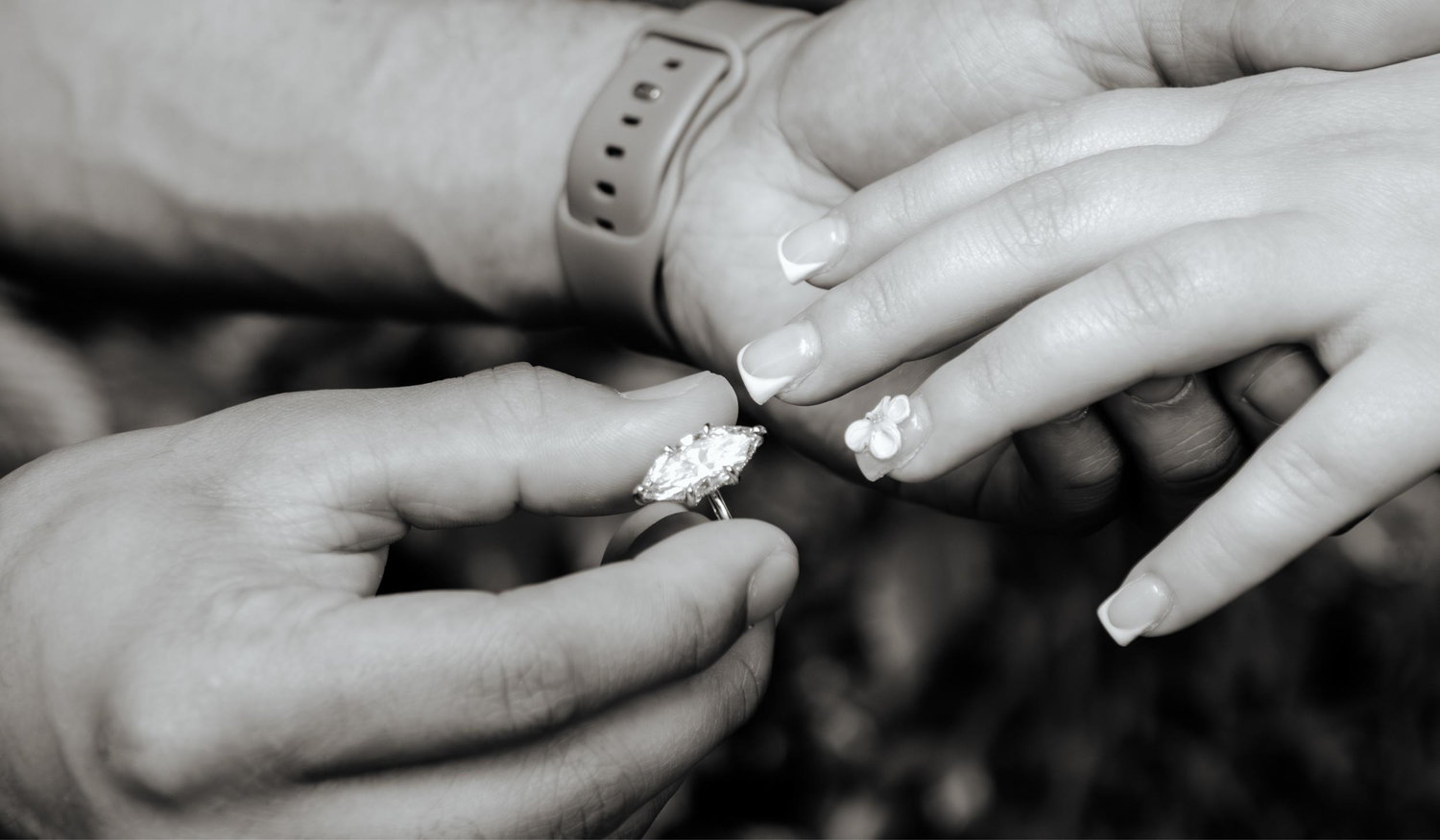 The Wedding Website of Brooke Bezak and Chris Taylor