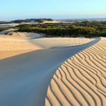 Guadalupe-Nipomo Dunes