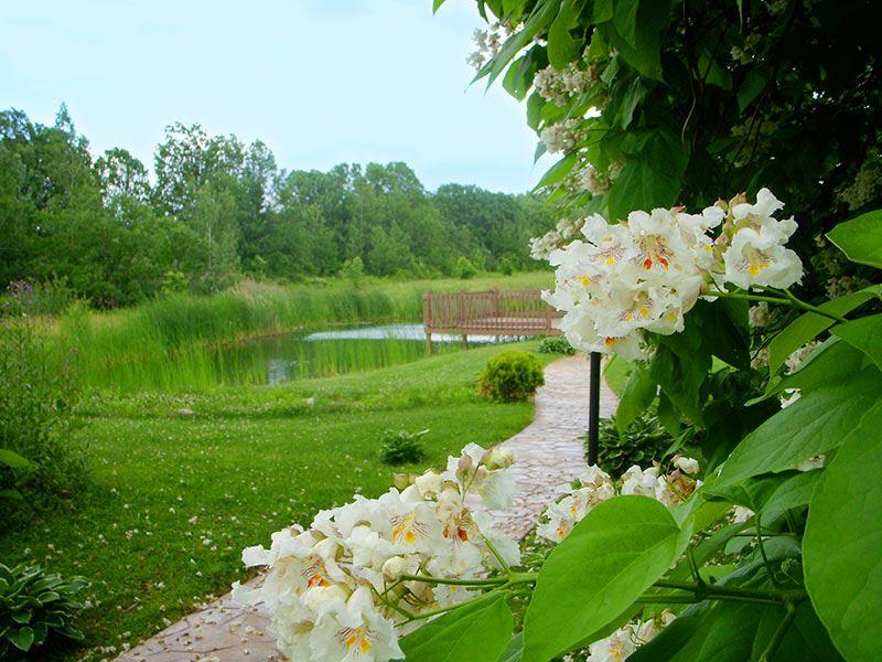 The Wedding Website of Lindsey Saham and Jeremy Saham