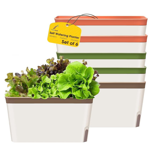 GardenBasix Self Watering Planter Pots Window Box for Indoor Plants Home Garden Modern Decorative Flower Pot for All House Herbs Succulents Set of 6 (6, Tricolor(Rectangle))