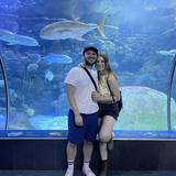 Omaha's Henry Doorly Zoo and Aquarium